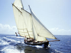 sailingtheopenwaters.jpg